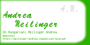 andrea meilinger business card